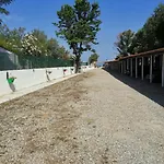 Mare / Piscina / Mare * Zambrone